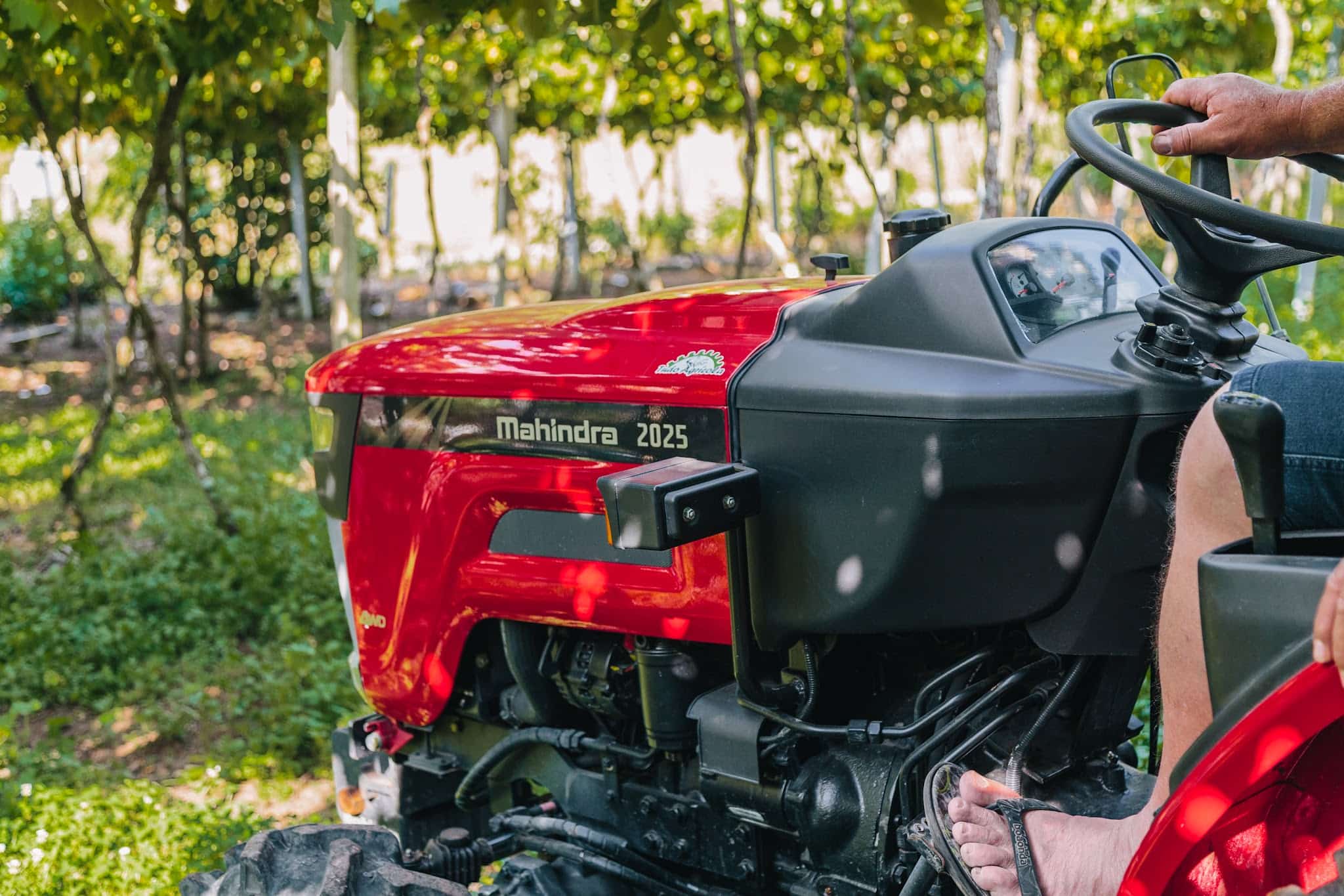 Mahindra-333