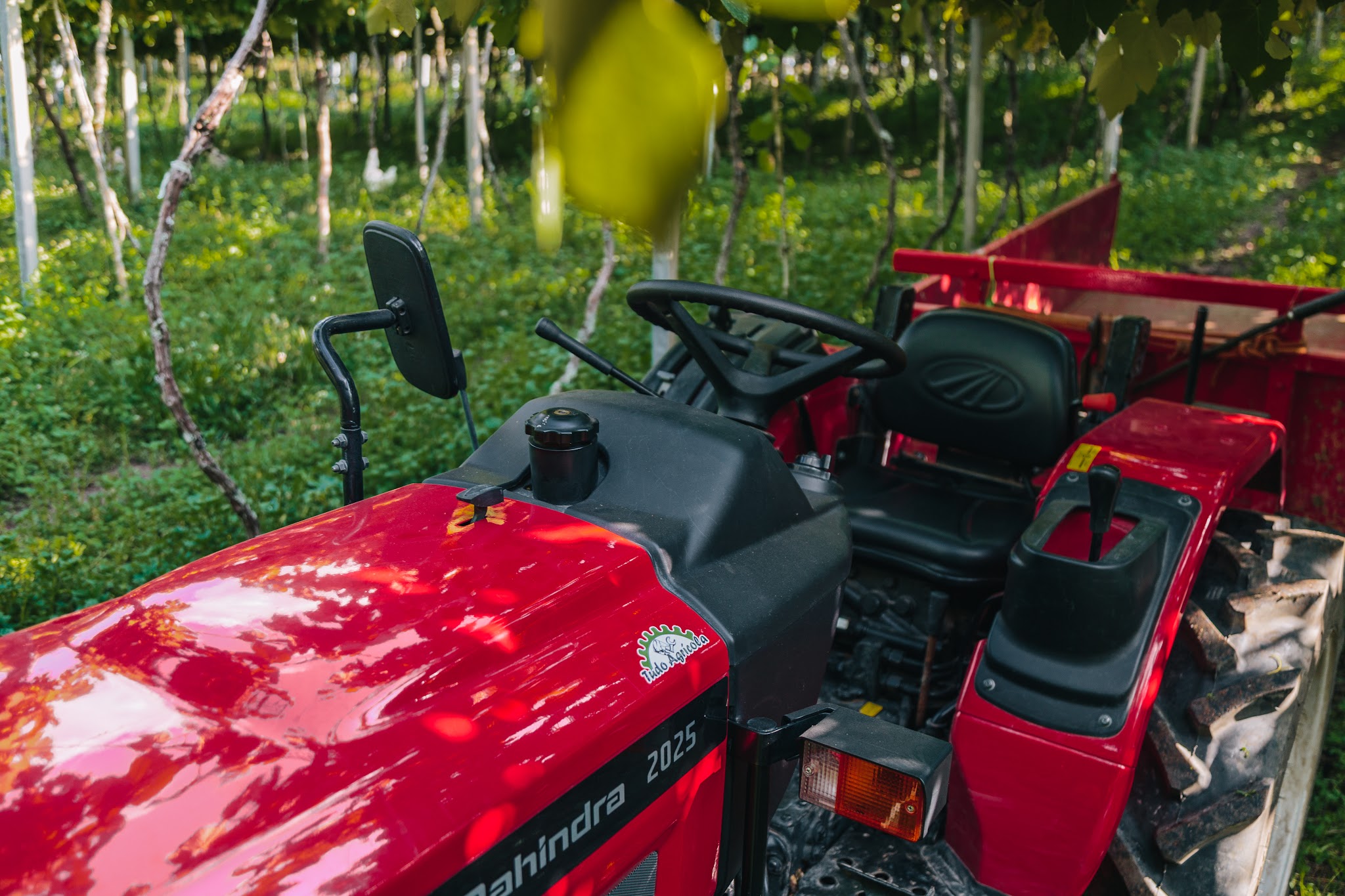 Mahindra-339