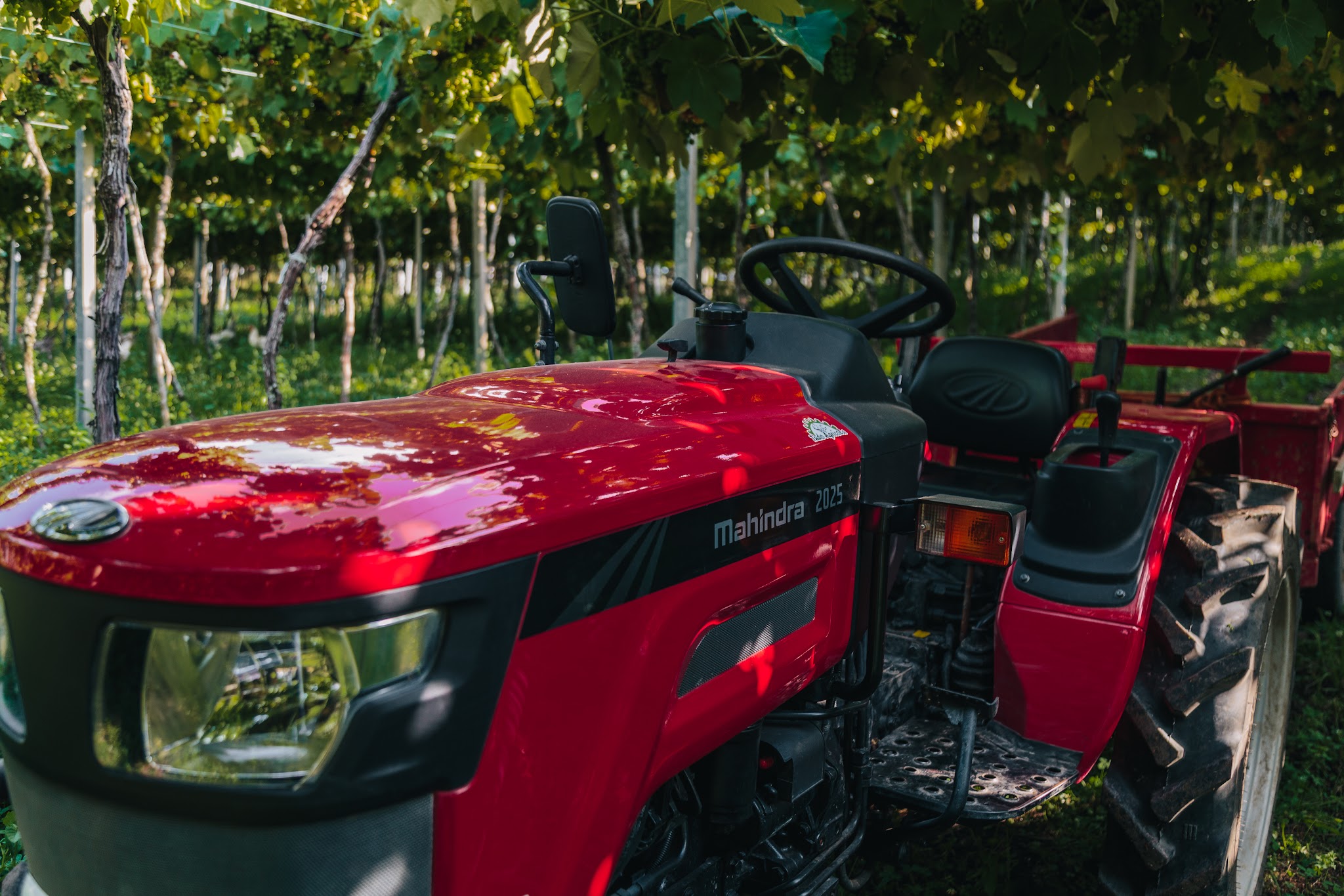 Mahindra-341